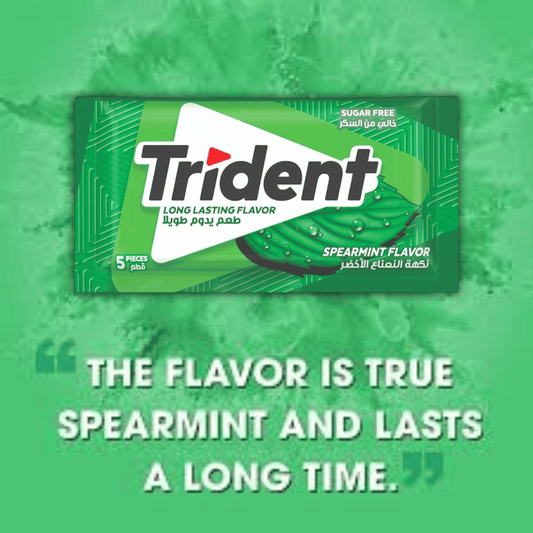 Trident Sugar Free Spearmint Gum 8g, 5 pcs