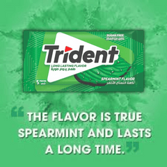 Trident Sugar Free Spearmint Gum 8g, 5 pcs