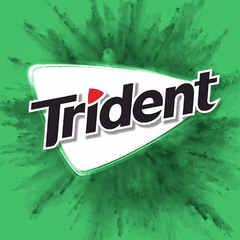 Trident Sugar Free Spearmint Gum 8g, 5 pcs