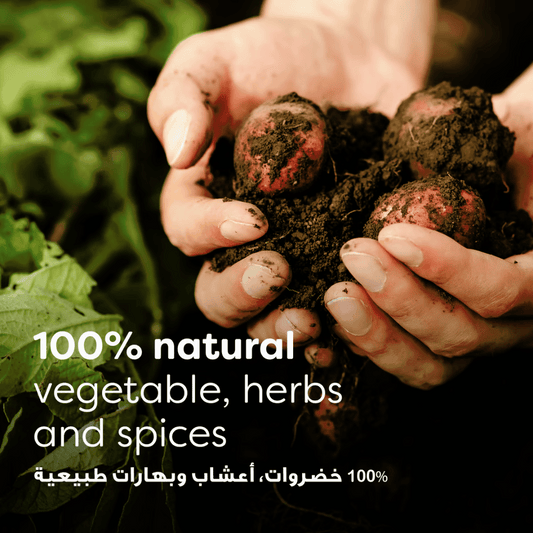 Knorr Instant Vegetable Stock Powder 14g