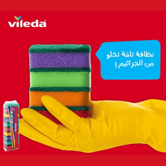 Vileda Rainbow Scourer, Pack of 10 Pcs